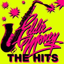 Album cover of The Hits (Re-Recorded Versions)