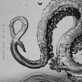Album cover of Black Dragon