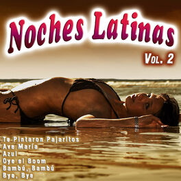 Album cover of Noches Latinas Vol. 2