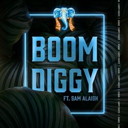 Album cover of Boom Diggy