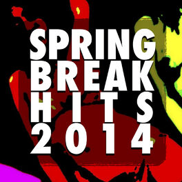 Album cover of Spring Break Hits 2014