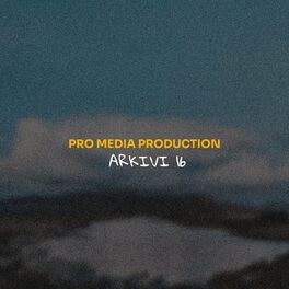 Album cover of Produksioni Pro Media