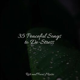 Album cover of 35 Peaceful Songs to De-Stress