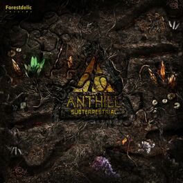 Album cover of Subterrestrial