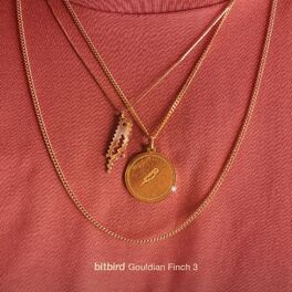 Album cover of Gouldian Finch 3