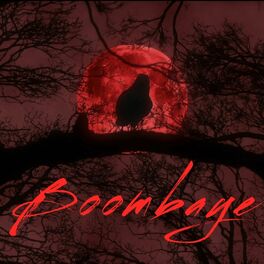 Album cover of Boombaye (feat. Allrounda)