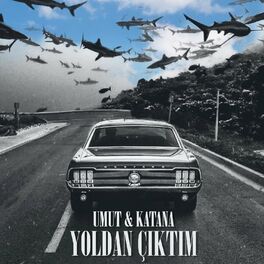 Album cover of Yoldan Çıktım