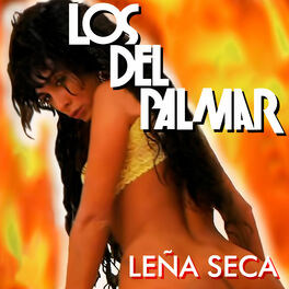 Album cover of Leña seca