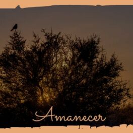 Album cover of Amanecer