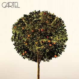 Album cover of Cartel