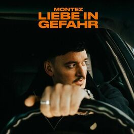 Album cover of Liebe in Gefahr
