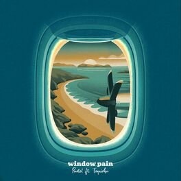 Album cover of window pain