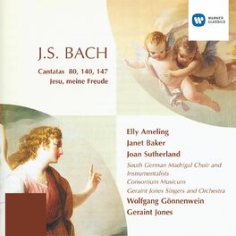 Album cover of Cantatas - Bach