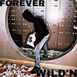 Album cover of Forever Wild'n