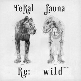 Album cover of Re:Wild