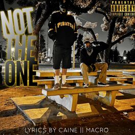 Album cover of Not The One (feat. Macro)