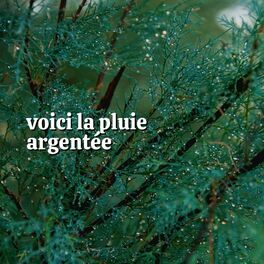 Album cover of Voici La Pluie Argentée