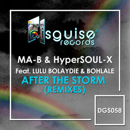 Album cover of After The Storm (Remixes)