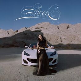 Album cover of SHOOK