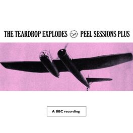 Album cover of Peel Sessions Plus