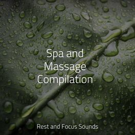 Album cover of Spa and Massage Compilation