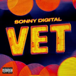 Album cover of Vet
