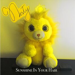 Album cover of Sunshine in Your Hair