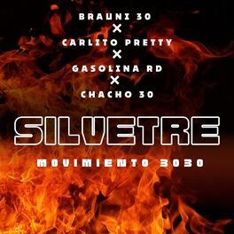 Album cover of Silvetre
