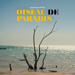 Album cover of Oiseau de Paradis