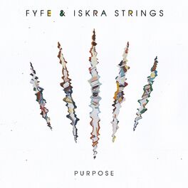 Album cover of Purpose