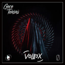 Album cover of Gece Terörü (VOLB3X Remix)