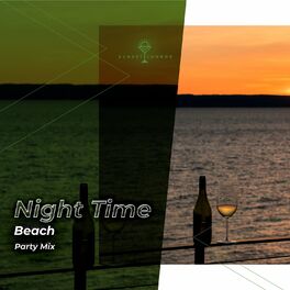 Album cover of zZz Night Time Beach Party Mix zZz