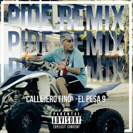 Album picture of Pide (Remix)