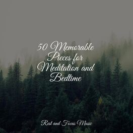 Album cover of 50 Memorable Pieces for Meditation and Bedtime