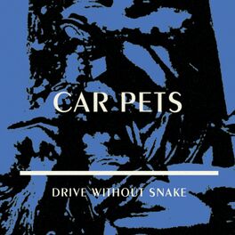 Album cover of Drive Without Snake