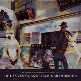 Album cover of De las Ventajas de Caminar Dormida