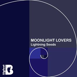 Album cover of Midnight Lovers