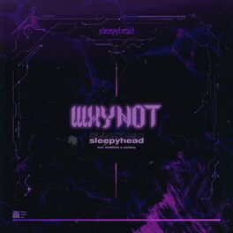 Album cover of WHY NOT (feat. GOMESS & (sic) boy)