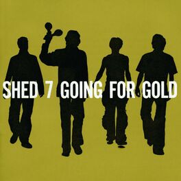Album cover of Going For Gold