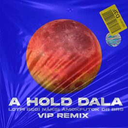 Album cover of A hold dala [VIP Remix] (feat. Ámokfutók & DR BRS)