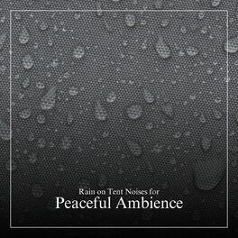 Album cover of Tent Rain