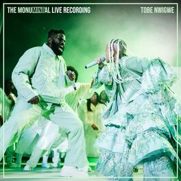 Album cover of THE MONUMINTAL LIVE RECORDING