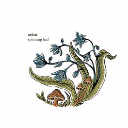 Album cover of Spinning Leaf