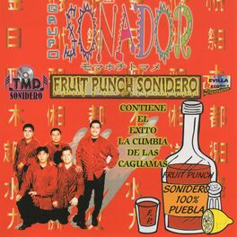 Album cover of Fruit Punch Sonidero