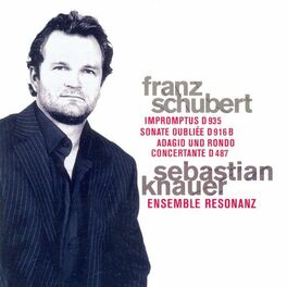 Album cover of Franz Schubert: 4 Impromptus / Piano piece in C Major / Adagio and Rondo Concertante