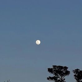 Album cover of BLUE