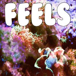 Album cover of Feels (Tribute to Calvin Harris)