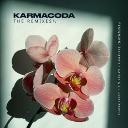 Album cover of Remixes EP