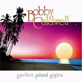 Album cover of Perfect Island Nights