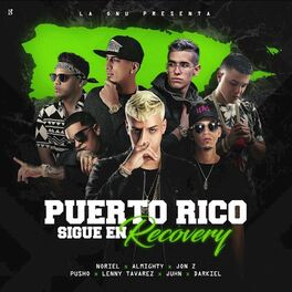 Album cover of Puerto Rico Sigue en Recovery